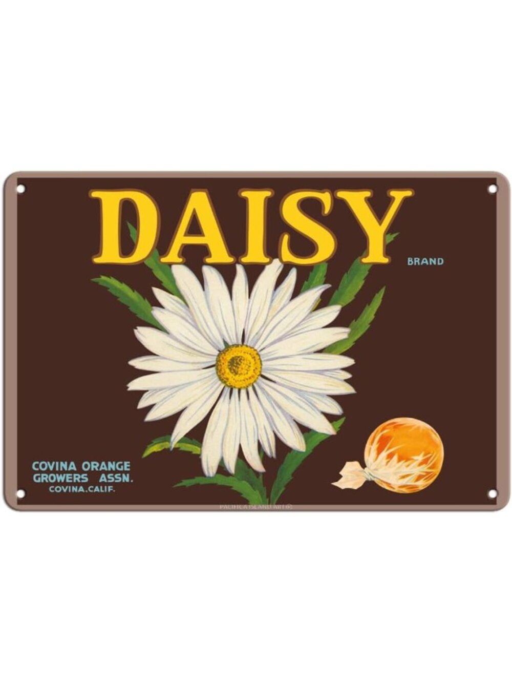 Vintage Fruit Crate Label Tin Sign - 1930s Daisy Oranges Art - 8x12 Inch Decor